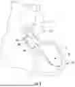 Fig. 03 - PERCUTANEOUS BLOOD PUMP WITH ARTICULATING RIGID LENGTH