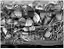 Fig. 01 - FILTER MEDIA COMPRISING ADSORBENT