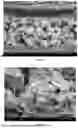 Fig. 02 - FILTER MEDIA COMPRISING ADSORBENT