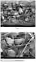 Fig. 03 - FILTER MEDIA COMPRISING ADSORBENT
