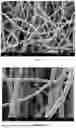 Fig. 05 - FILTER MEDIA COMPRISING ADSORBENT