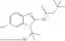 Fig. 167 - KV7 CHANNEL ACTIVATORS COMPOSITIONS AND METHODS OF USE