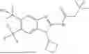 Fig. 216 - KV7 CHANNEL ACTIVATORS COMPOSITIONS AND METHODS OF USE