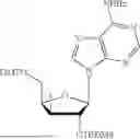 Fig. 52 - ANTIVIRAL COMPOUNDS