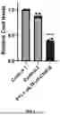 Fig. 02 - DEGRADATION TARGETING AGENTS AND USES THEREOF