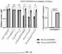 Fig. 13 - DEGRADATION TARGETING AGENTS AND USES THEREOF
