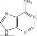 Fig. 02 - COMPOSITIONS AND METHODS FOR TREATING STARGARDT DISEASE