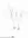 Fig. 02 - FAUCET HANDLE ASSEMBLY