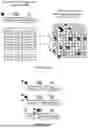 Fig. 09 - DETECTION AND DIGITAL QUANTITATION OF MULTIPLE TARGETS