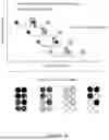 Fig. 10 - DETECTION AND DIGITAL QUANTITATION OF MULTIPLE TARGETS