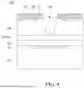 Fig. 07 - ANALYTICAL BIOCHIP AND FORMING METHOD THEREOF