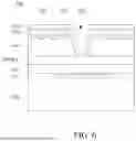 Fig. 09 - ANALYTICAL BIOCHIP AND FORMING METHOD THEREOF