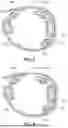 Fig. 07 - HEAD-MOUNTED DISPLAY DEVICE