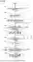 Fig. 09 - IMAGE FORMING APPARATUS