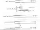 Fig. 19 - NEURAL NETWORK BASED IMAGE AND VIDEO COMPRESSION METHOD WITH INTEGER OPERATIONS