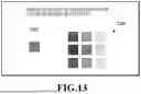 Fig. 16 - INFORMATION PROCESSING APPARATUS, INFORMATION PROCESSING METHOD, AND STORAGE MEDIUM