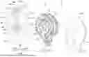 Fig. 01 - ELECTRIC WORK MACHINE