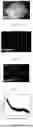 Fig. 24 - SYSTEMS AND METHODS FOR NONEQUILIBRIUM PLASMAS