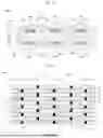 Fig. 07 - Solar Cell, Cell Component, and Photovoltaic System