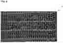 Fig. 10 - CAT CLAW POLISHING AND FILING TOOL