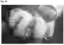 Fig. 11 - CAT CLAW POLISHING AND FILING TOOL