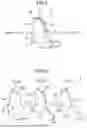 Fig. 06 - LAST