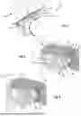 Fig. 04 - ATTACHMENT MEMBER FOR CONNECTING A WRIST STRAP TO A WATCH CASE