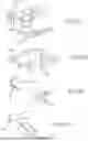 Fig. 49 - ELECTROSURGICAL DEVICE AND METHODS