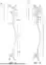 Fig. 02 - ORTHOPEDIC DEVICE