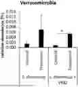 Fig. 01 - COMBINATIONS COMPRISING VITAMIN B2 AND LACTOBACILLUS RHAMNOSUS