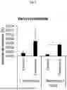 Fig. 02 - COMBINATIONS COMPRISING VITAMIN B2 AND LACTOBACILLUS RHAMNOSUS