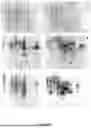 Fig. 53 - Nutritive Polypeptides and Formulations Thereof, and Methods of Production and Use Thereof