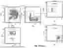 Fig. 49 - METHODS AND COMPOSITIONS FOR ENHANCED ANTIGEN PRESENTATION IN THE TUMOR MICROENVIRONMENT