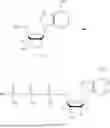 Fig. 232 - MODIFIED NUCLEOSIDES, NUCLEOTIDES, AND NUCLEIC ACIDS, AND USES THEREOF