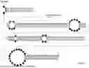 Fig. 02 - Engineered Guide RNAs and Polynucleotides