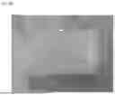 Fig. 07 - TWO-PHASE 3D PRINTING OF BIOCOMPATIBLE STRUCTURES