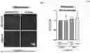 Fig. 09 - BIOLOGIC COMPOSITION FOR PROMOTING WOUND HEALING AND A METHOD OF PREPARING THE SAME