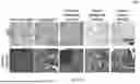 Fig. 22 - BIOLOGIC COMPOSITION FOR PROMOTING WOUND HEALING AND A METHOD OF PREPARING THE SAME