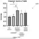 Fig. 35 - BIOLOGIC COMPOSITION FOR PROMOTING WOUND HEALING AND A METHOD OF PREPARING THE SAME