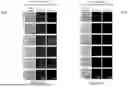 Fig. 43 - BIOLOGIC COMPOSITION FOR PROMOTING WOUND HEALING AND A METHOD OF PREPARING THE SAME