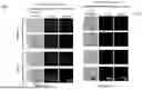 Fig. 44 - BIOLOGIC COMPOSITION FOR PROMOTING WOUND HEALING AND A METHOD OF PREPARING THE SAME