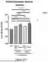 Fig. 50 - BIOLOGIC COMPOSITION FOR PROMOTING WOUND HEALING AND A METHOD OF PREPARING THE SAME