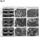 Fig. 07 - SYNTHETIC BONE GRAFTS AND METHODS FOR THEIR PREPARATION