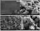 Fig. 01 - Method For The Degradation Of Microplastics in Soil