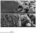Fig. 02 - Method For The Degradation Of Microplastics in Soil