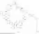 Fig. 136 - MACROCYCLIC IMMUNOMODULATORS
