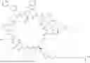 Fig. 294 - MACROCYCLIC IMMUNOMODULATORS