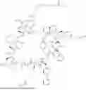 Fig. 855 - MACROCYCLIC IMMUNOMODULATORS