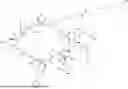 Fig. 962 - MACROCYCLIC IMMUNOMODULATORS
