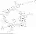 Fig. 970 - MACROCYCLIC IMMUNOMODULATORS